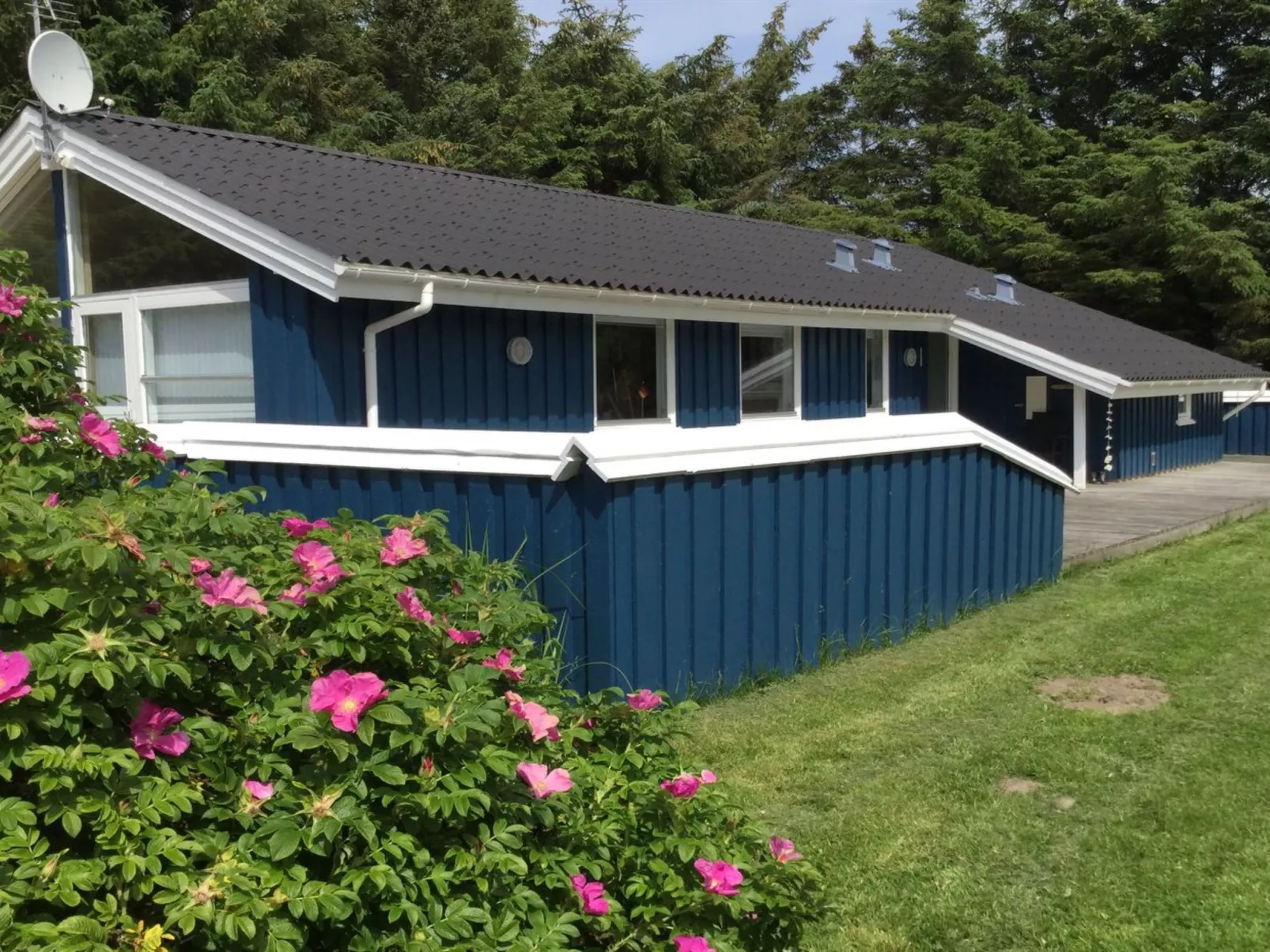 "Sari" - 600m from the sea