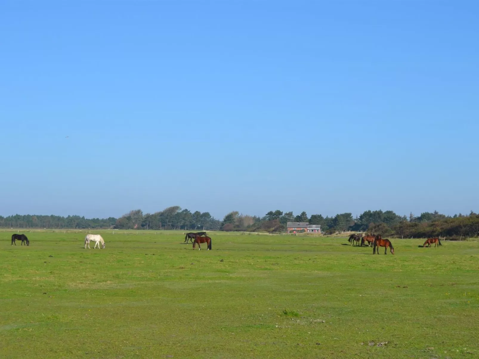 "Lin" - 2.9km from the sea-Draußen