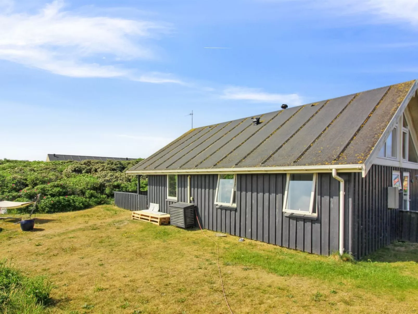 "Harry" - 100m from the sea