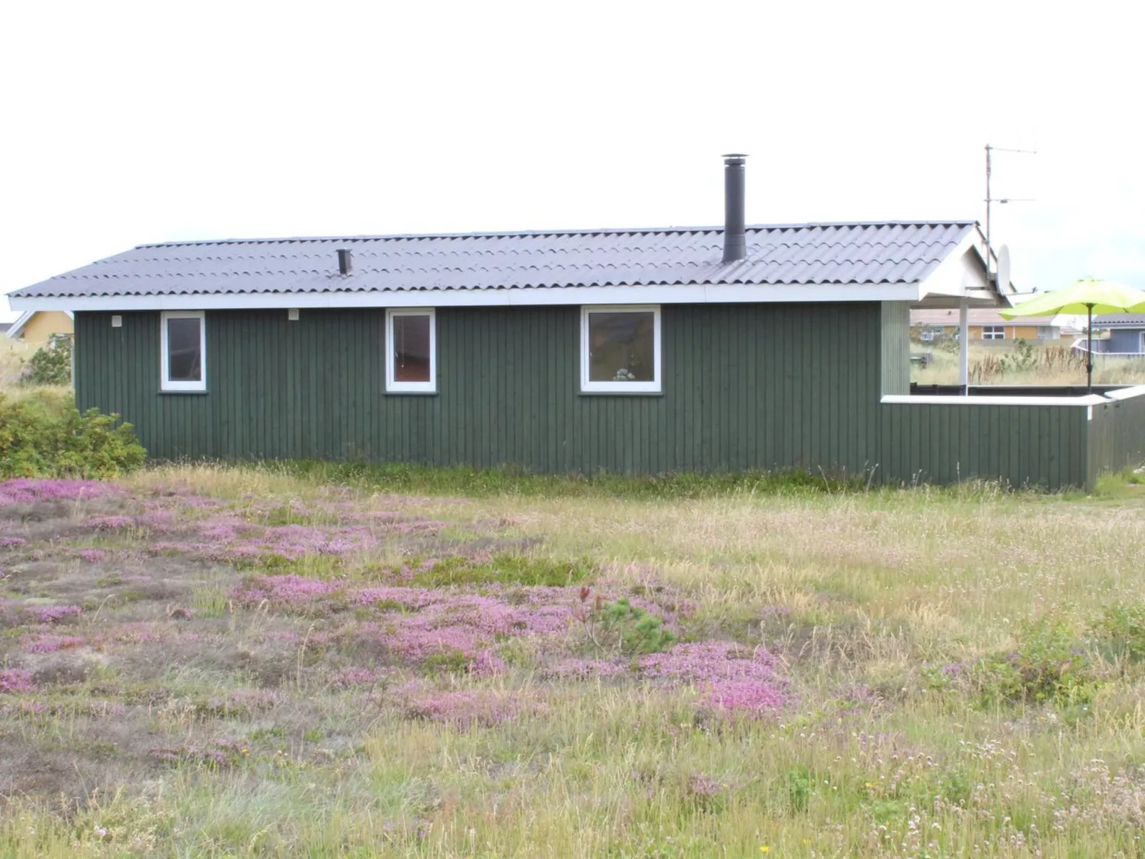 "Lambe" -  from the sea