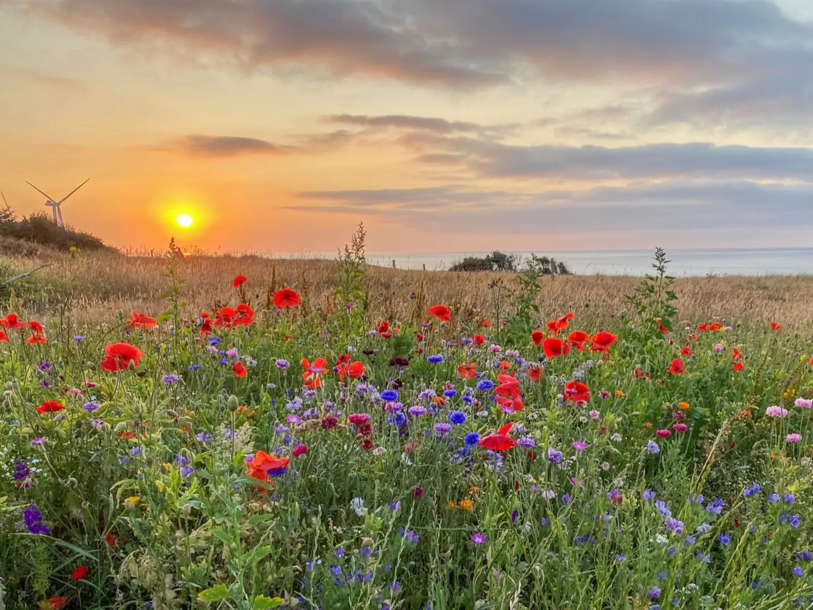 "Alkmar" - 75m from the sea-Outside