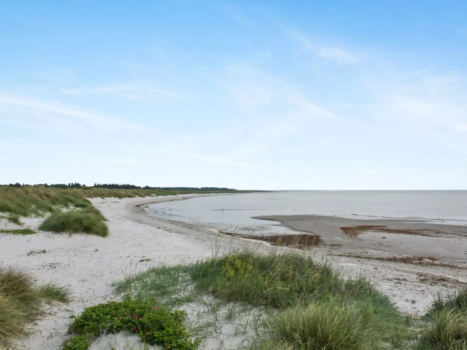 "Helja" - 125m from the sea