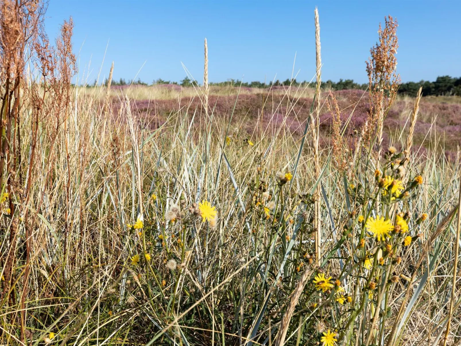 "Chenoa" - 200m from the sea