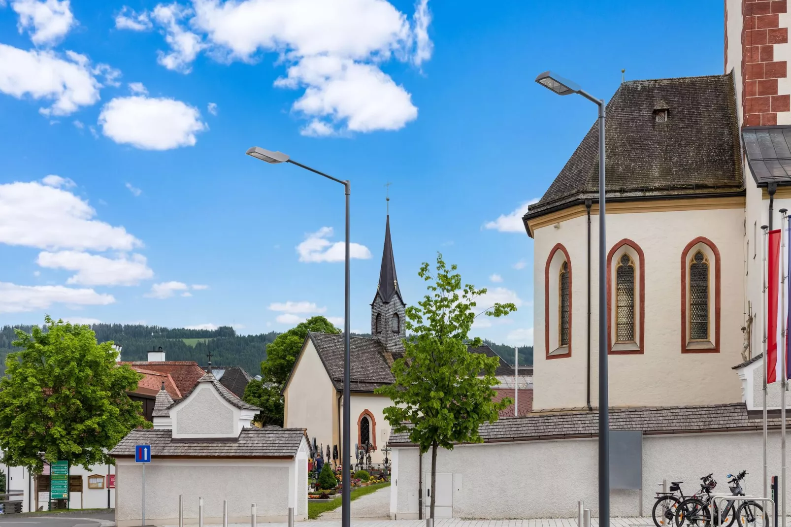 Apartment Mitterberg-Areas summer 20km