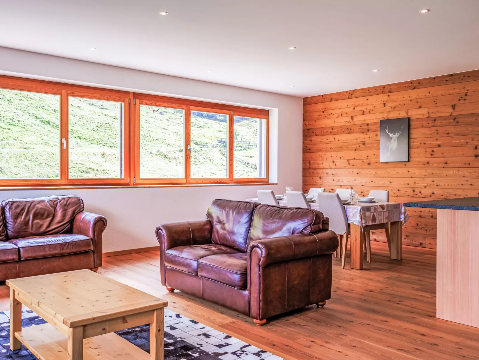 Rosablanche E 107-Drinnen