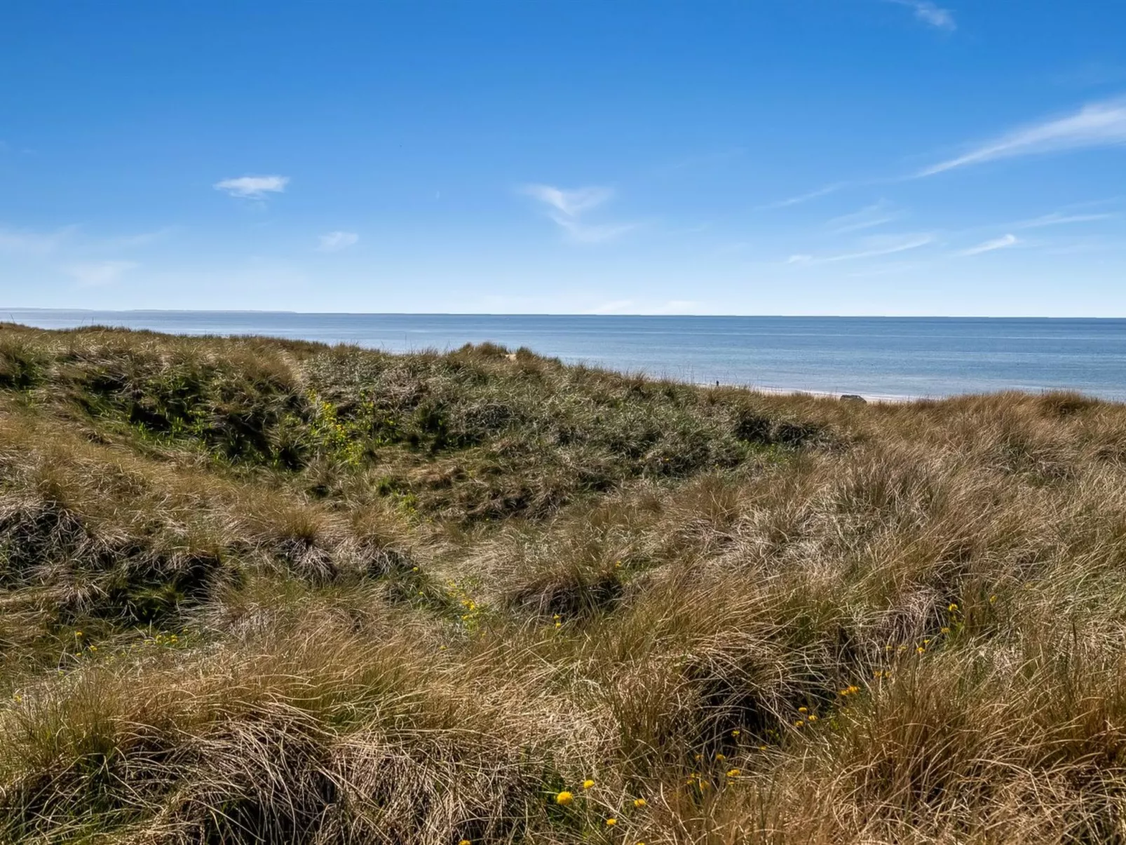 "Guthfrith" - 100m from the sea