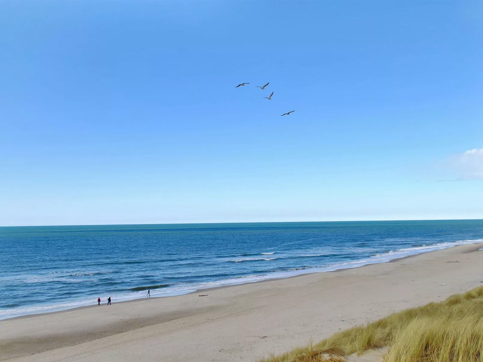 "Jannike" - 100m from the sea