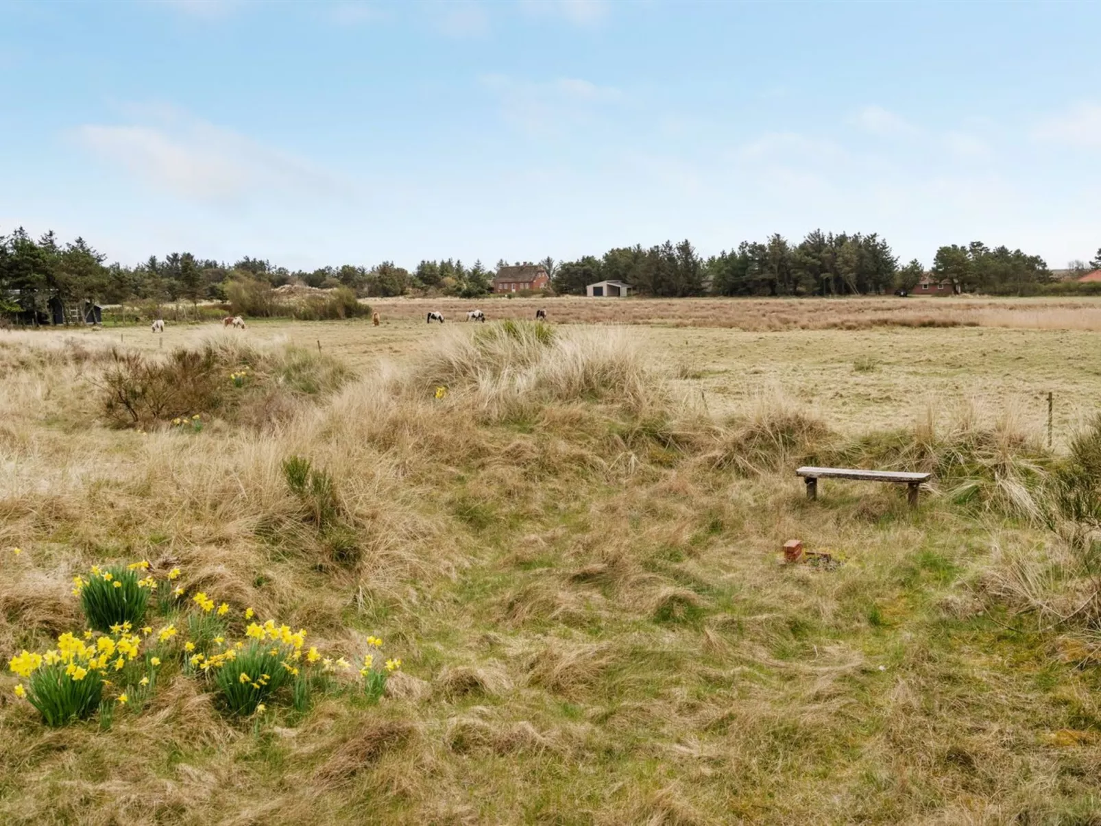 "Thorgisl" - 1.4km from the sea