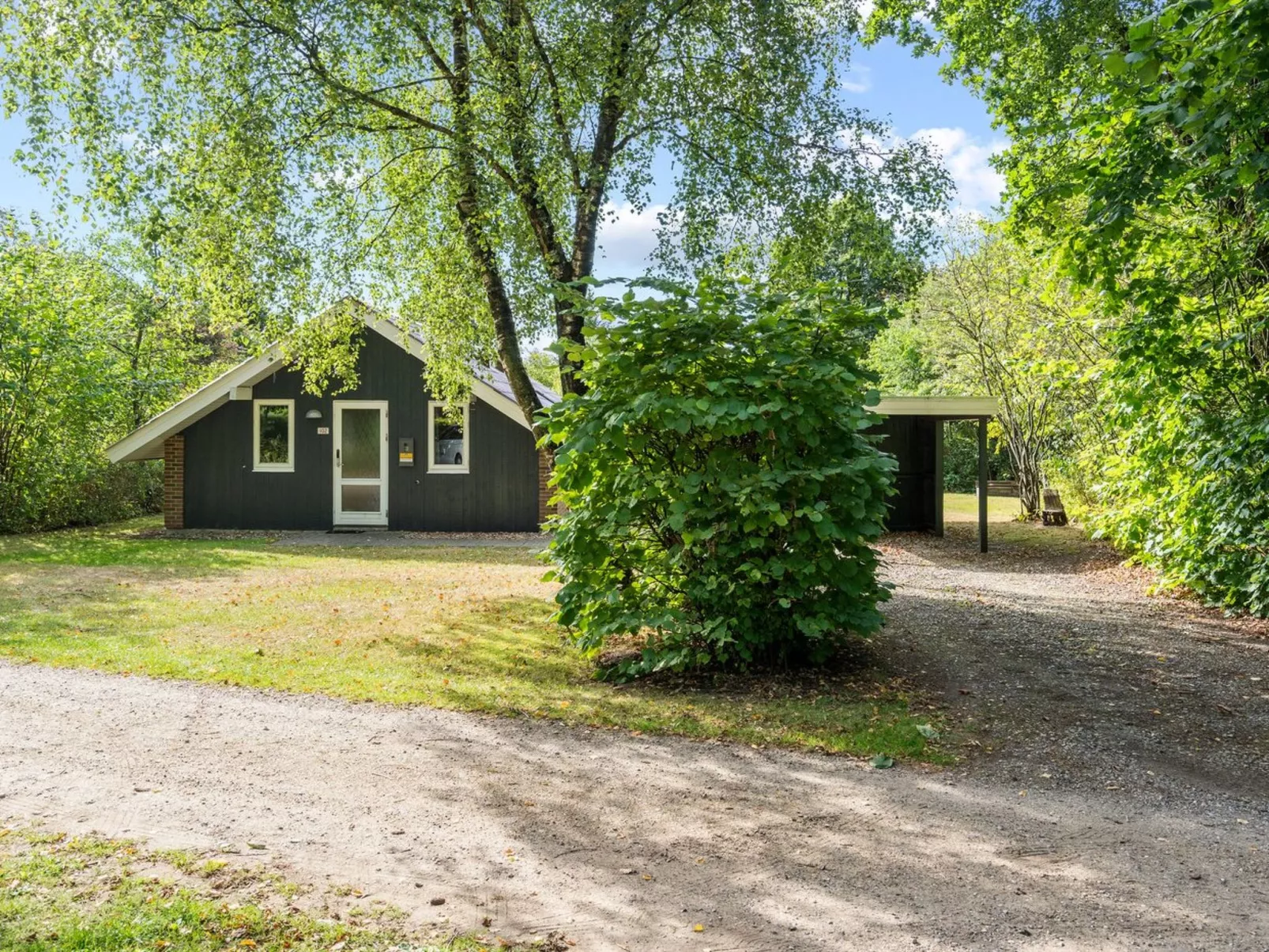 "Pance" - 20km to the fjord