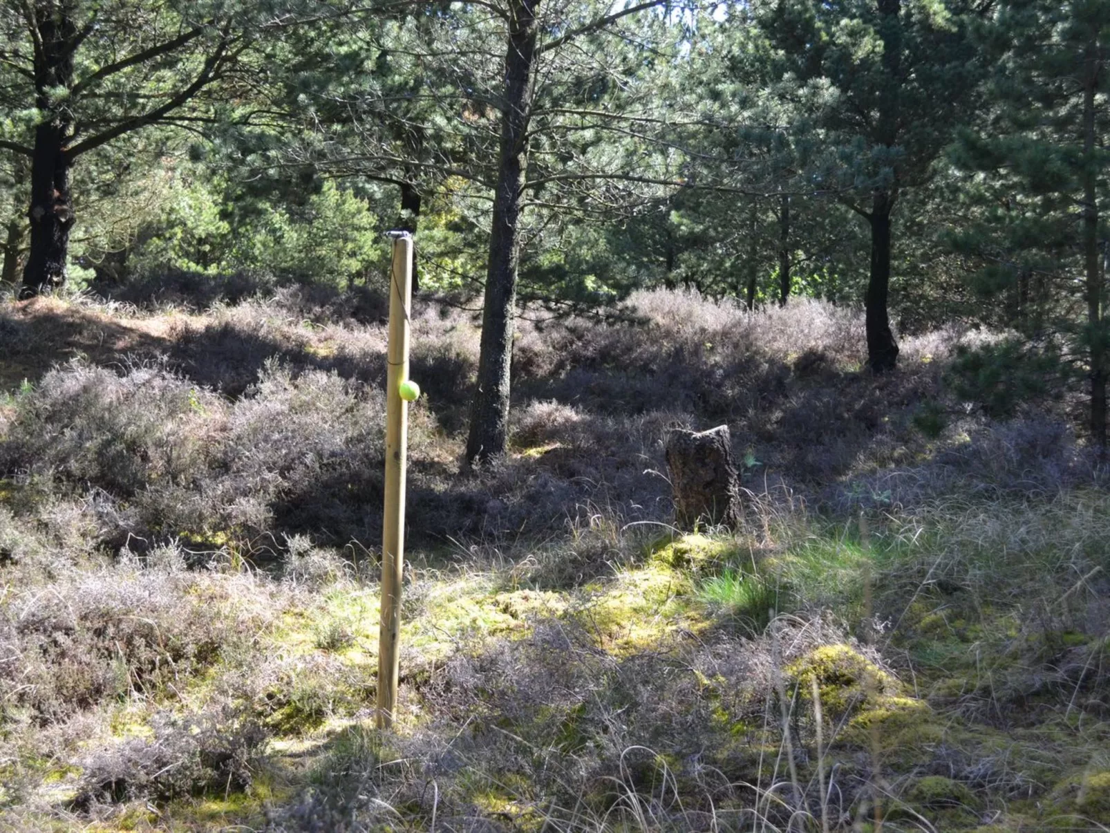 "Angret" - 3.5km from the sea