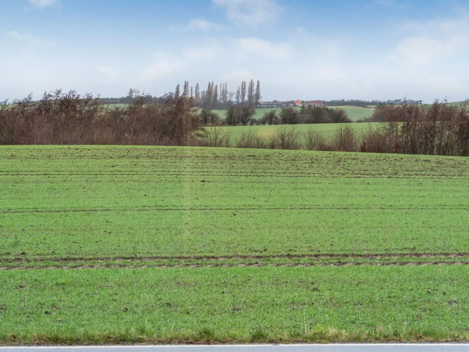 "Truels" - 2km from the sea