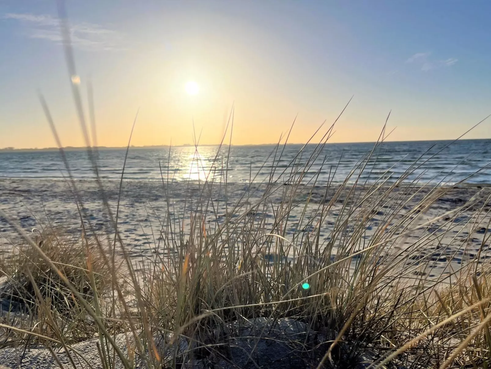 "Gregor" - 300m from the sea