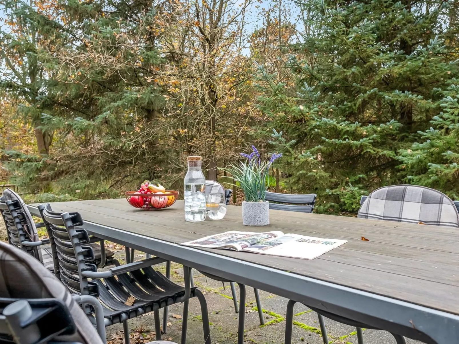 "Alfons" - 600m from the sea