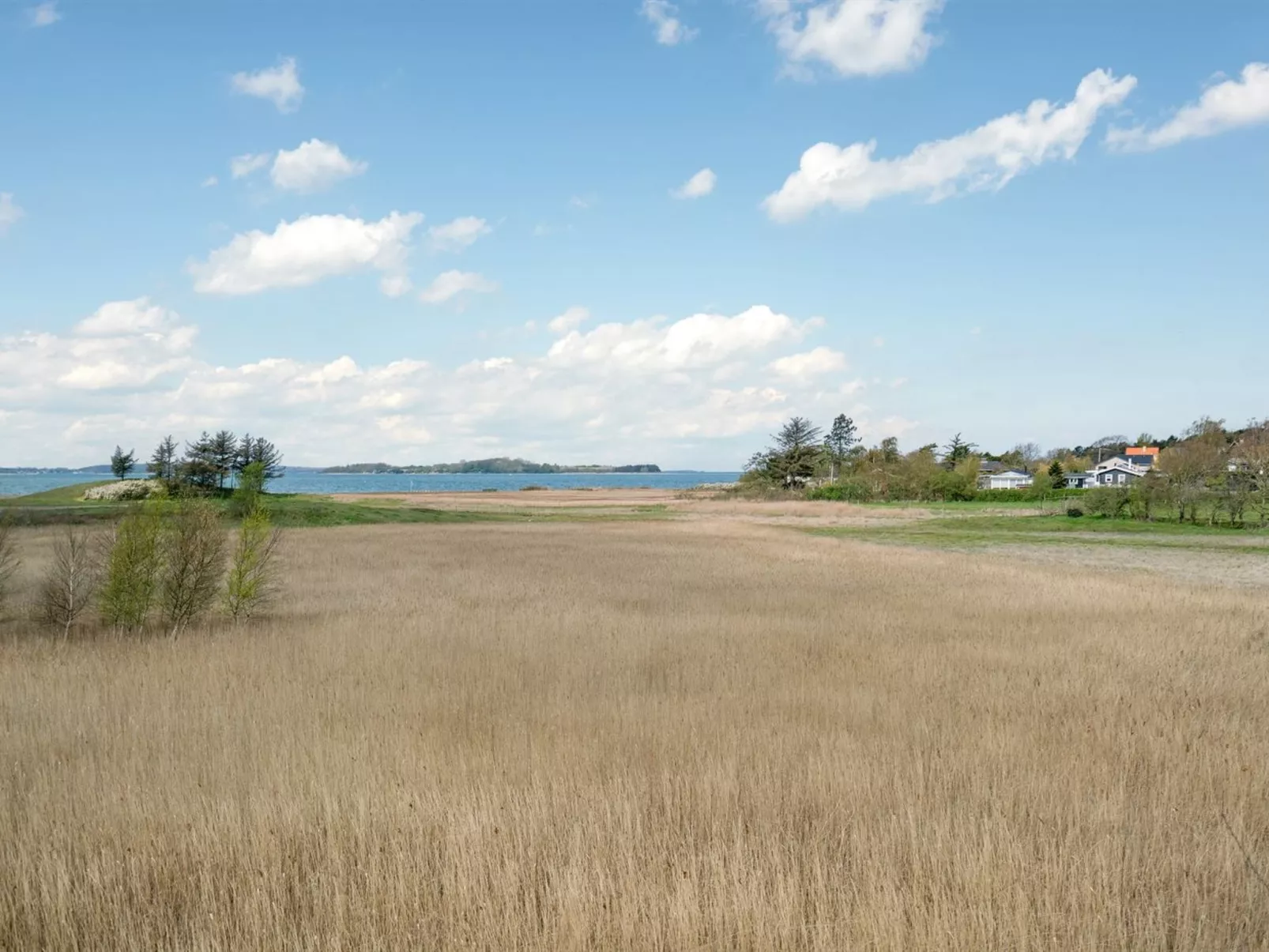 "Antti" - 350m from the sea