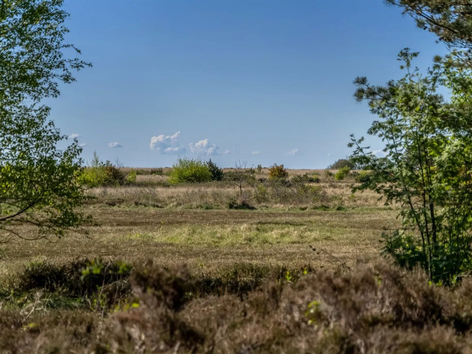 "Annestine" - 200m from the sea-Draußen