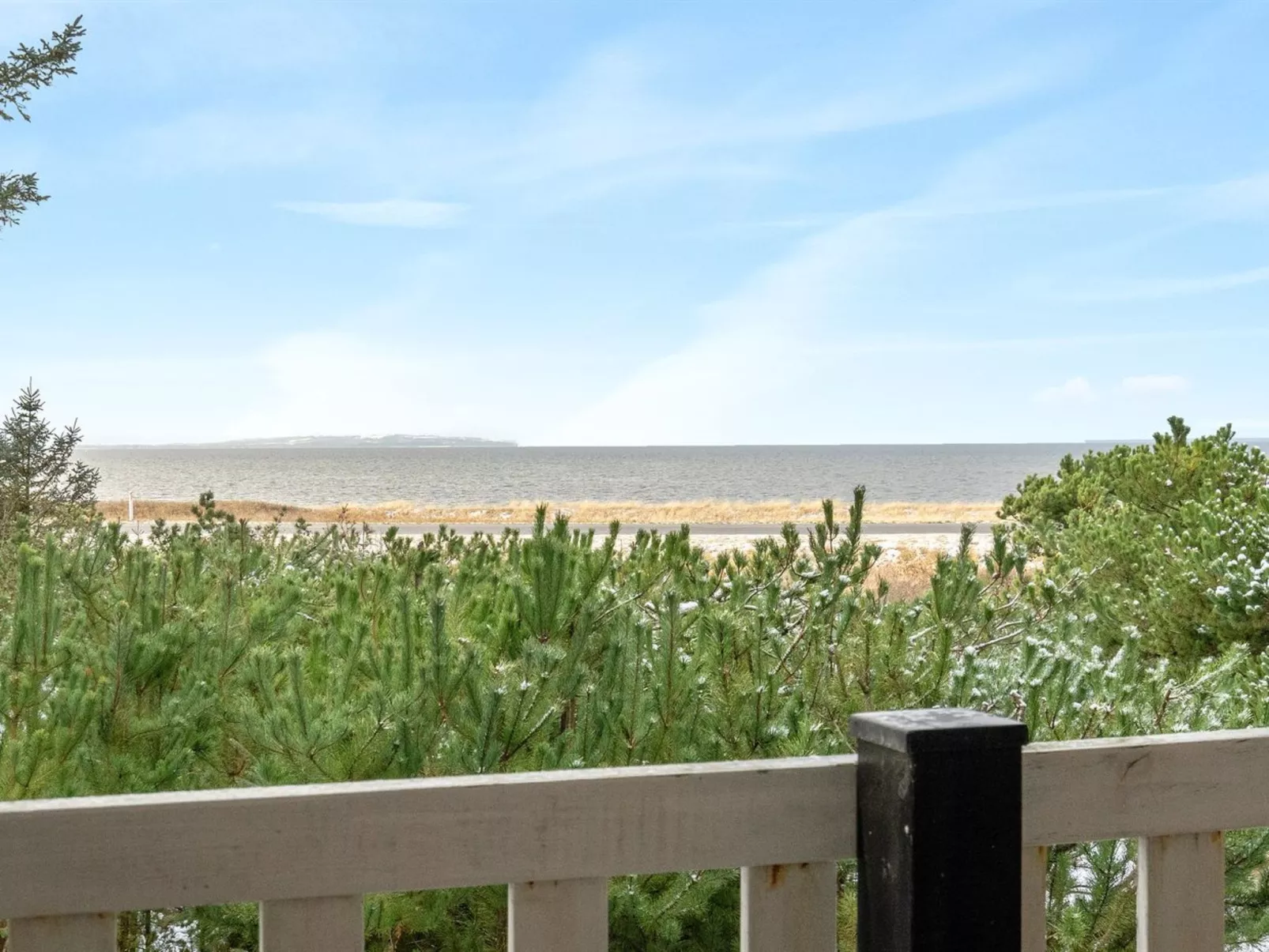 "Freda" - 100m to the fjord