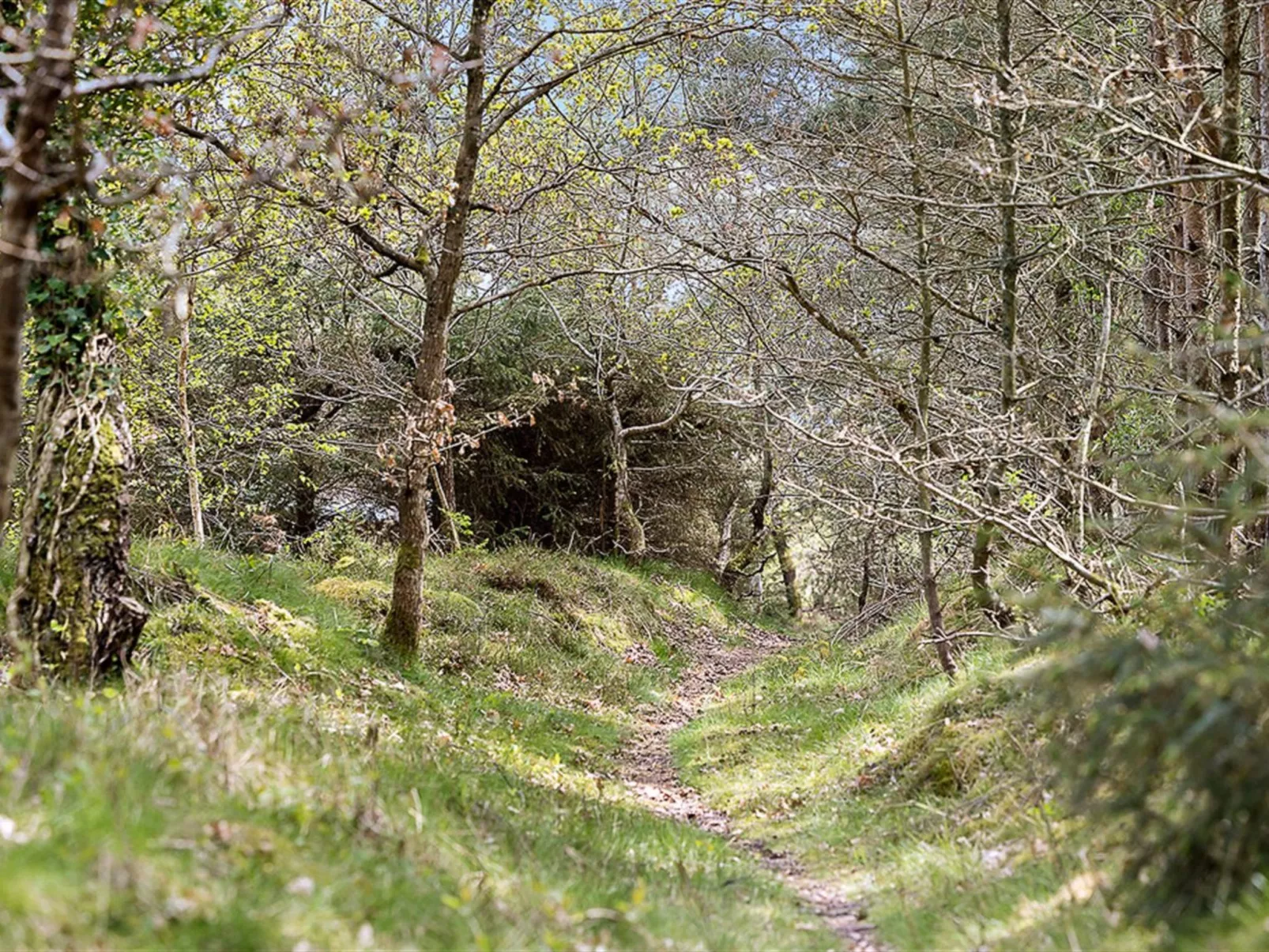 "Amabel" - 200m from the sea-Dehors