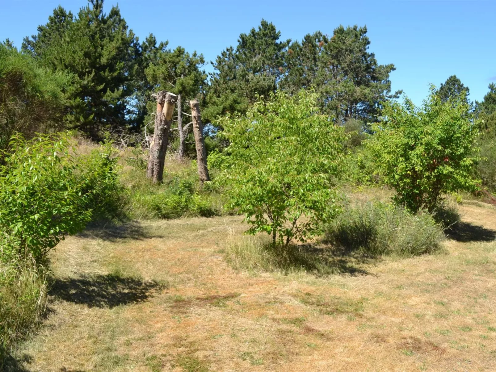 "Eberg" - 2.8km from the sea-Dehors