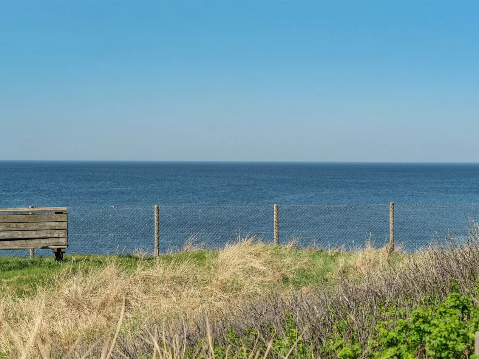 "Alberta" - 50m from the sea