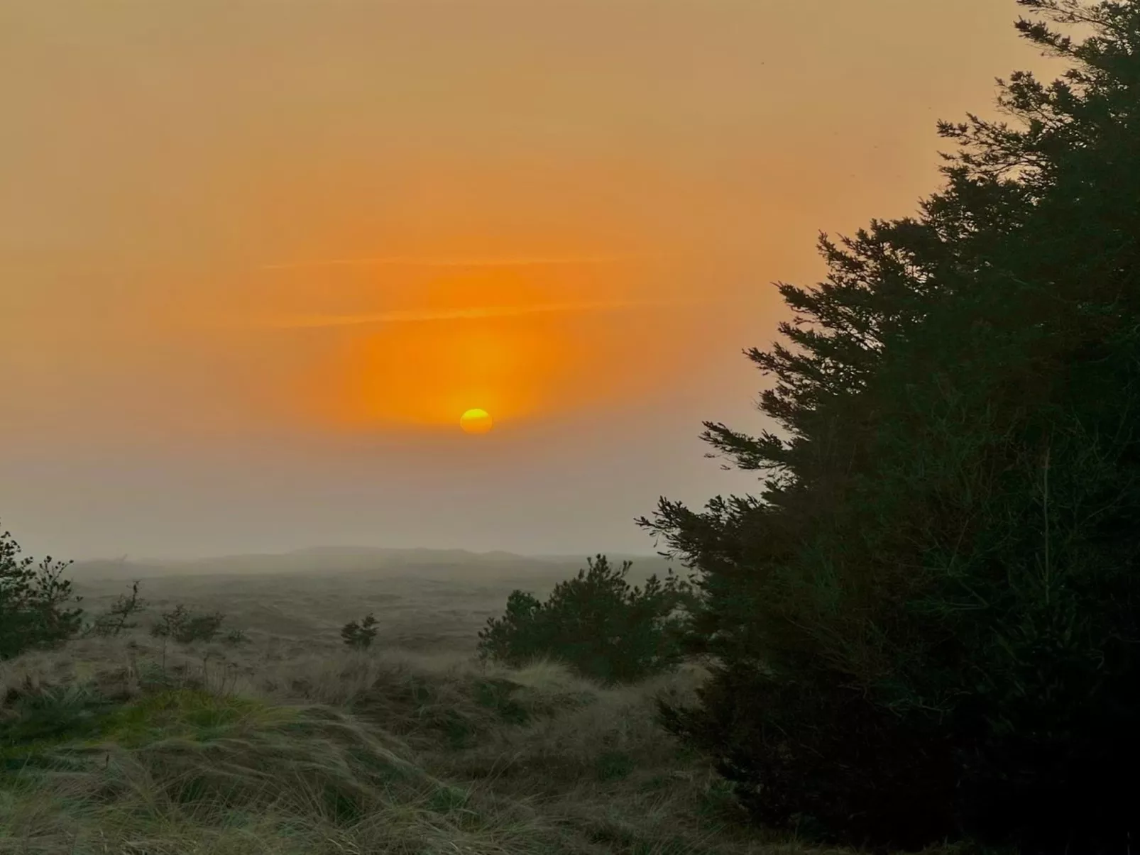 "Nilson" - 1.4km from the sea