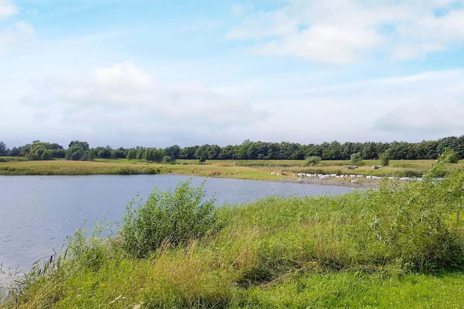 Bonheur côtier a Nysted -- By Traum Ferienwohnungen-Vue sur l'eau