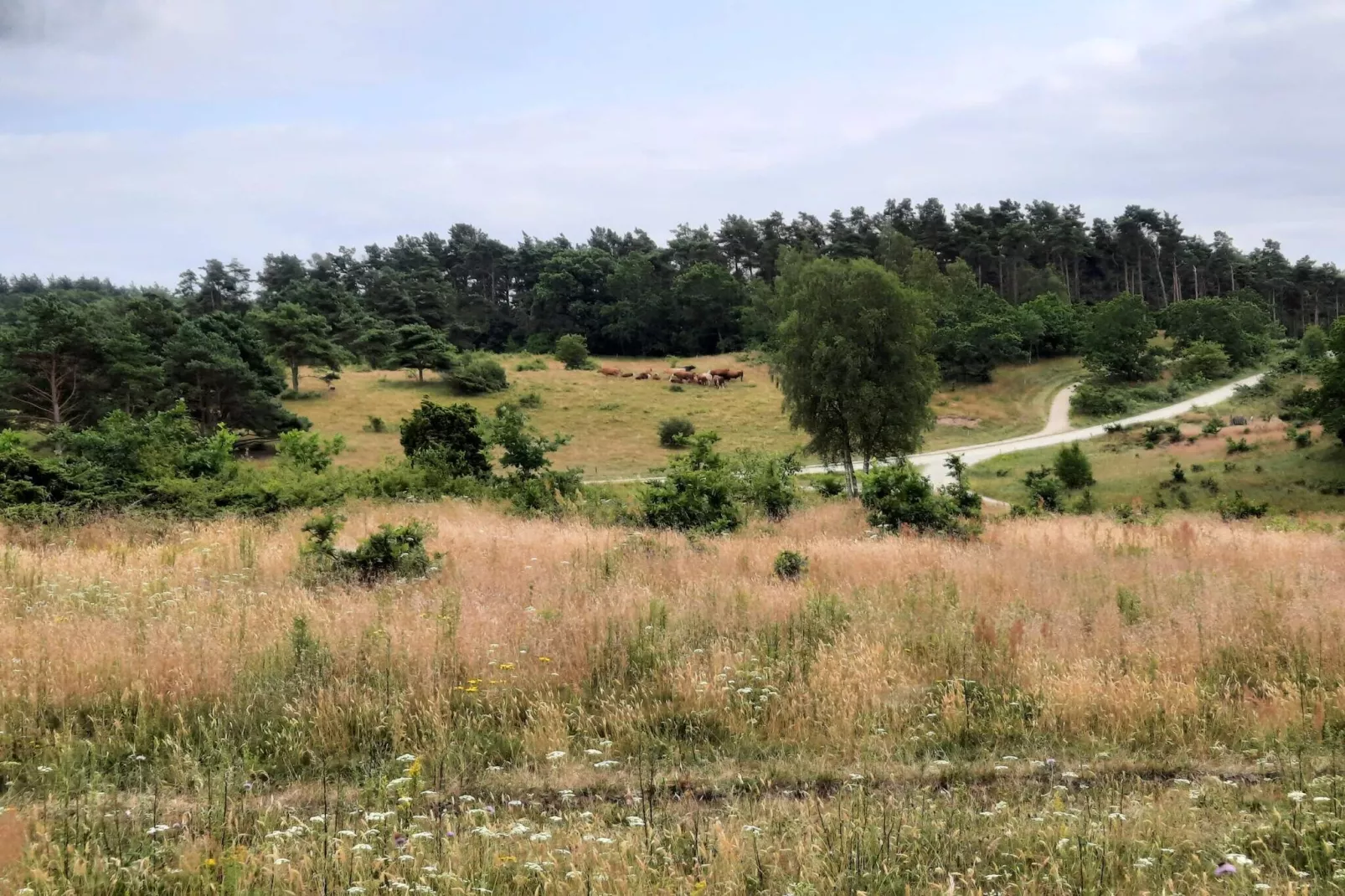 6 person holiday home in Knebel-By Traum-Untagged