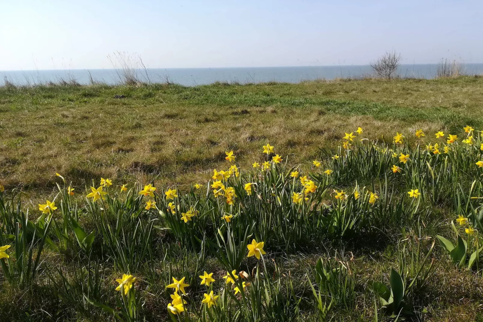 Helles Ferienhaus mit Spa -- By Traum Ferienwohnungen