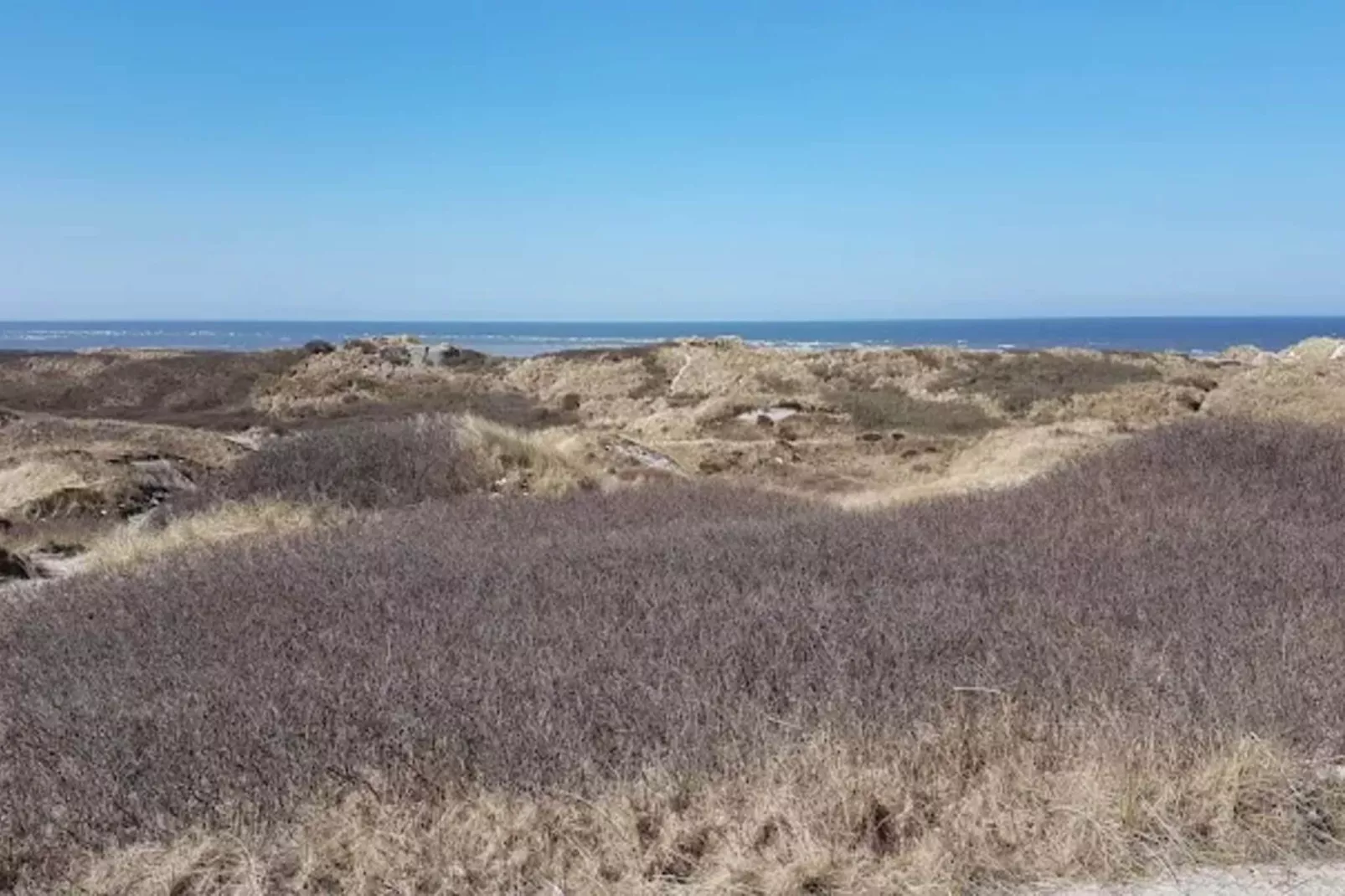 Maison de vacances pour 10 a Blåvand-Non tagué