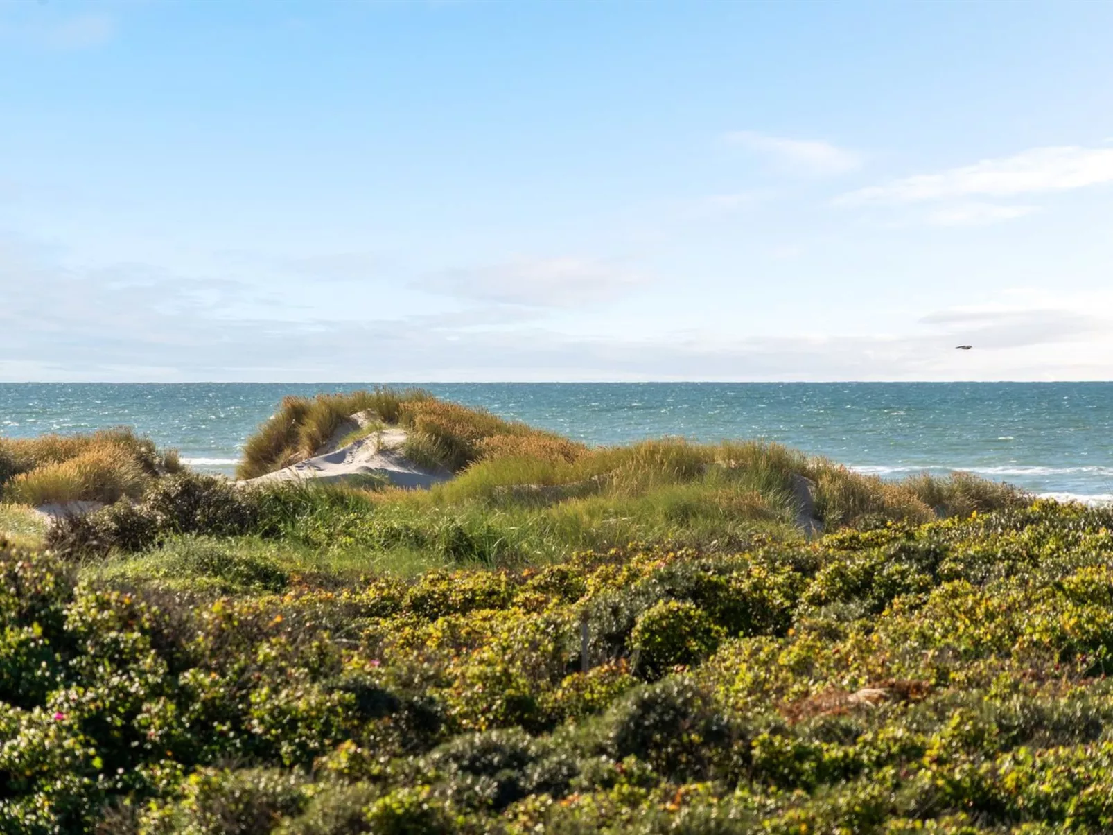 "Rauli" - 50m from the sea