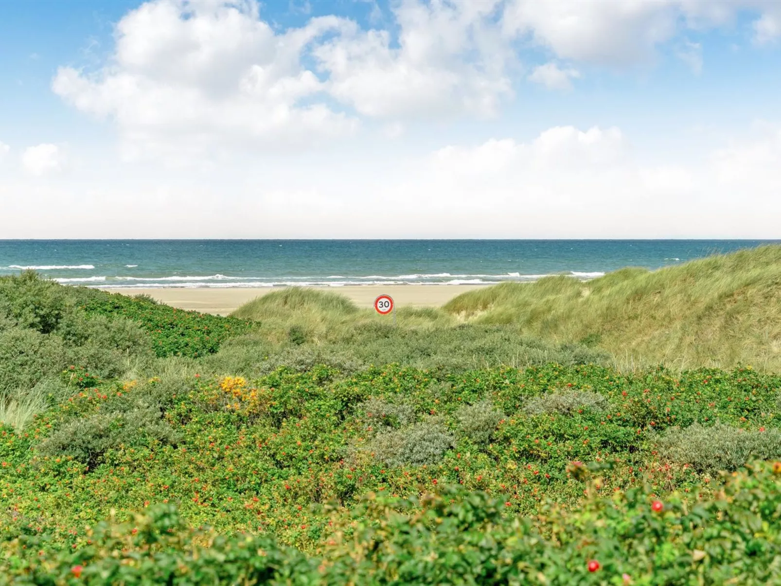 "Ejvind" - 100m from the sea