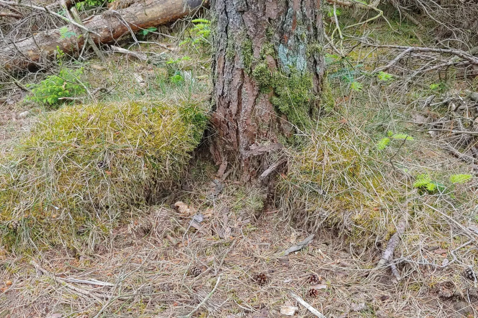 Luxury Retreat with Pool - By Traum Ferienwohnungen-Untagged