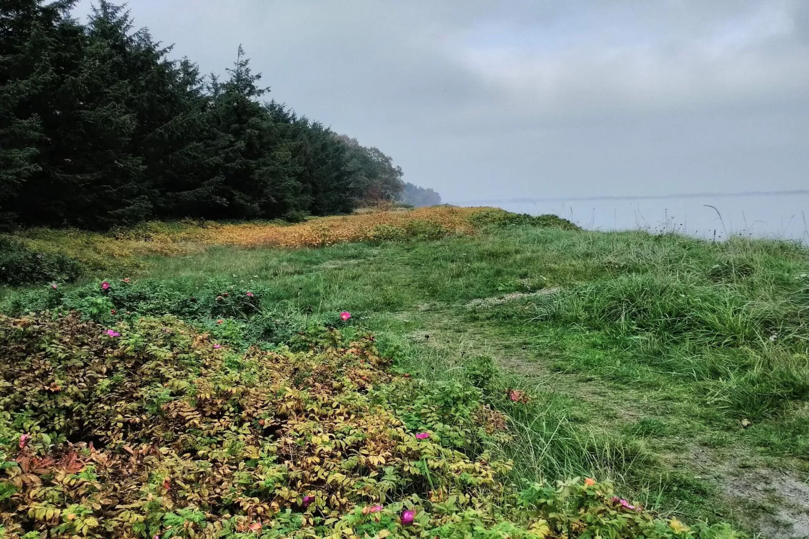 6 person holiday home in Thyholm-By Traum-Untagged