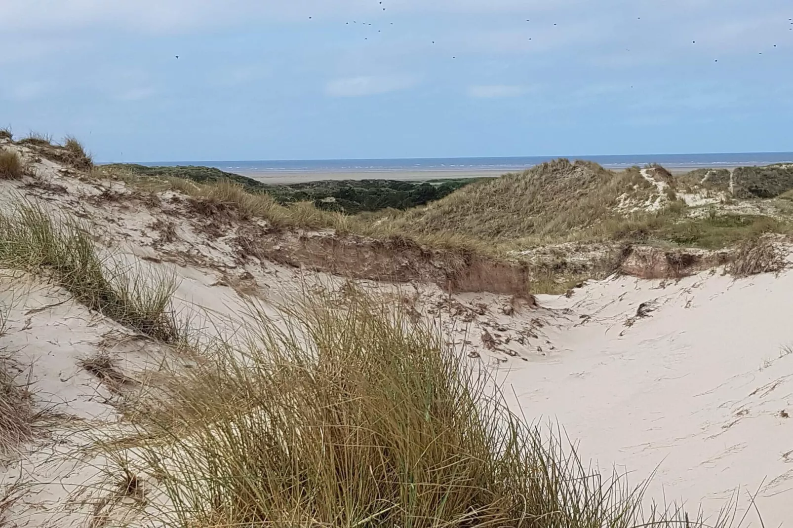 6 Personen Ferienhaus in Fanø-By Traum-Nicht zugeordnet