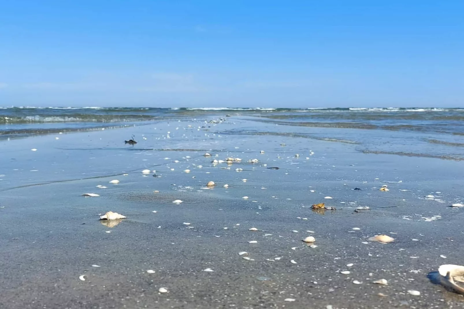 6 person holiday home in Hals-By Traum-Water view