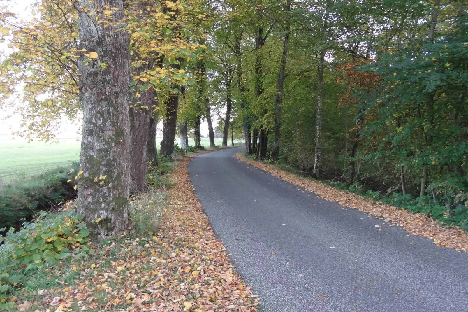 8 Personen Ferienhaus in Øster Assels-By Traum-Nicht zugeordnet