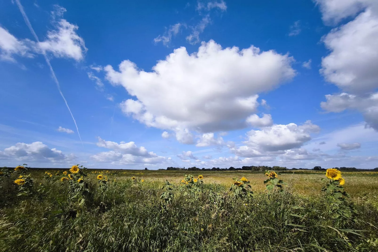 5 Sterne Ferienhaus in Sydals-By Traum-Nicht zugeordnet