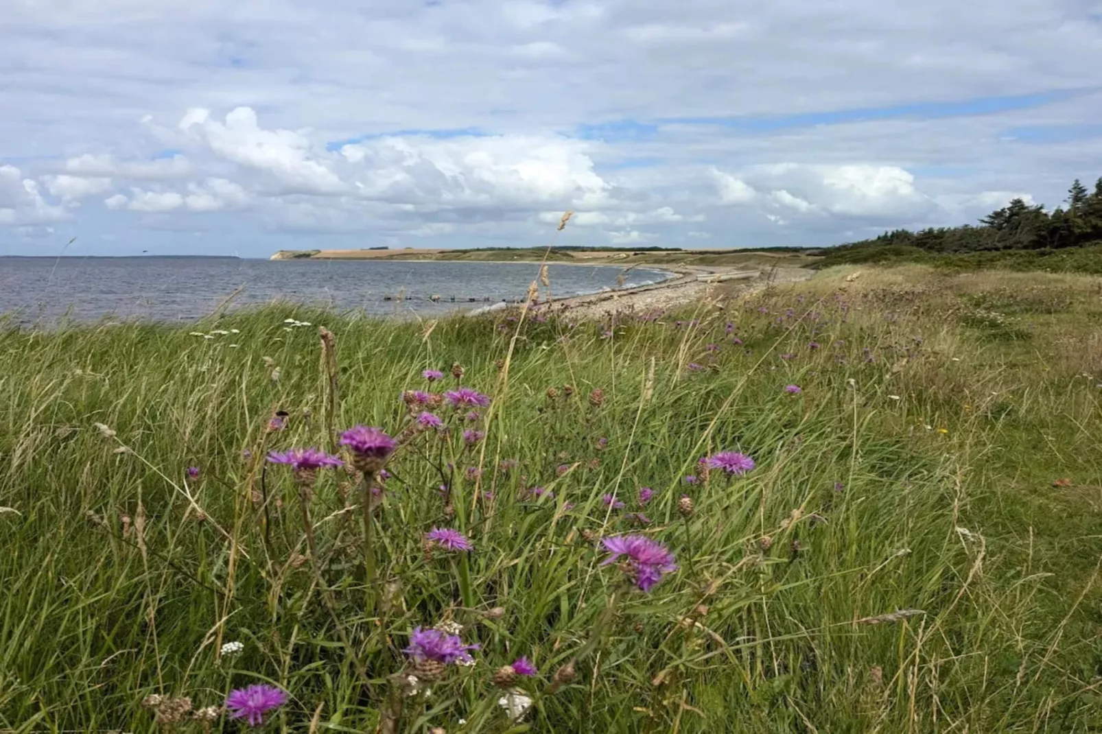 6 person holiday home in Nykøbing M-By Traum-Water view
