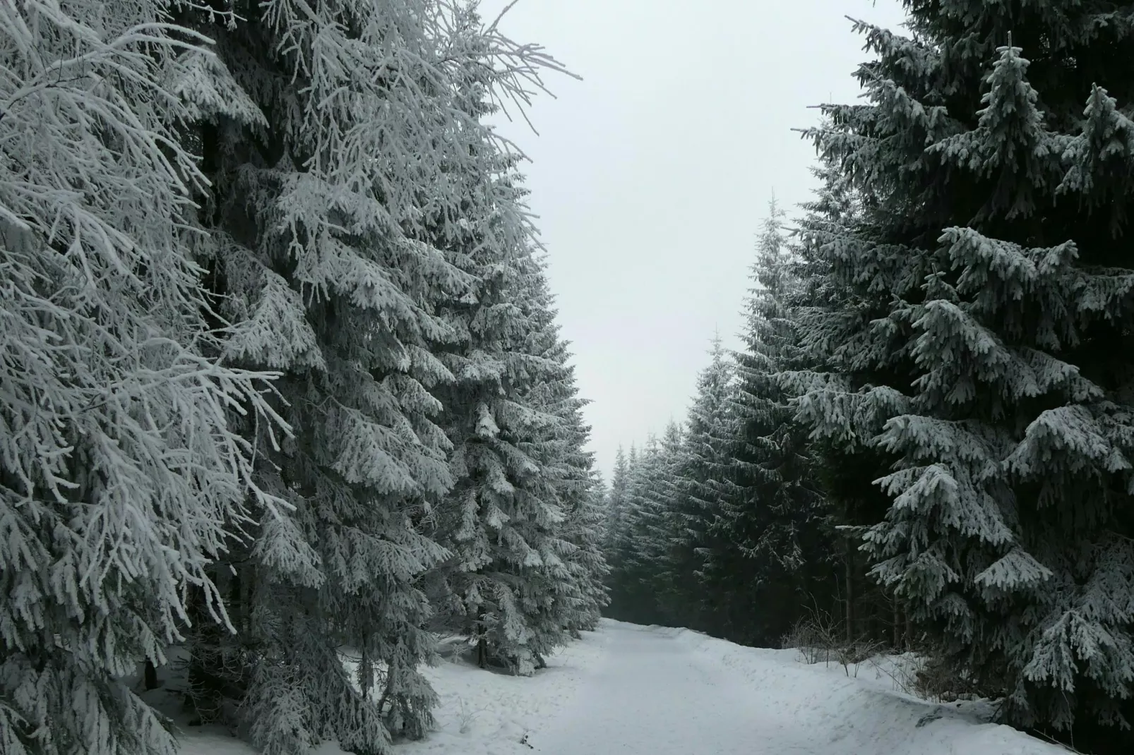 Studio Am Waltenberg 57-S-Zones hiver à 1 km