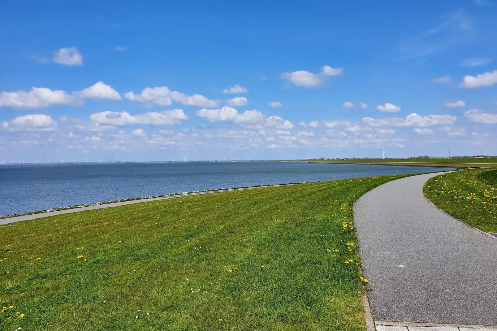 SeeZeichen auf Nordstrand - 4 Personen-Areas within 1km in summer