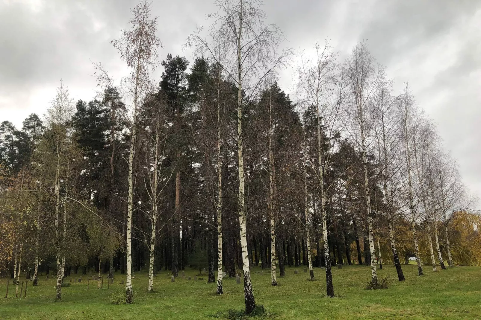 4 etoiles maison de vacances a ENSKEDE-By Traum-Non tagué