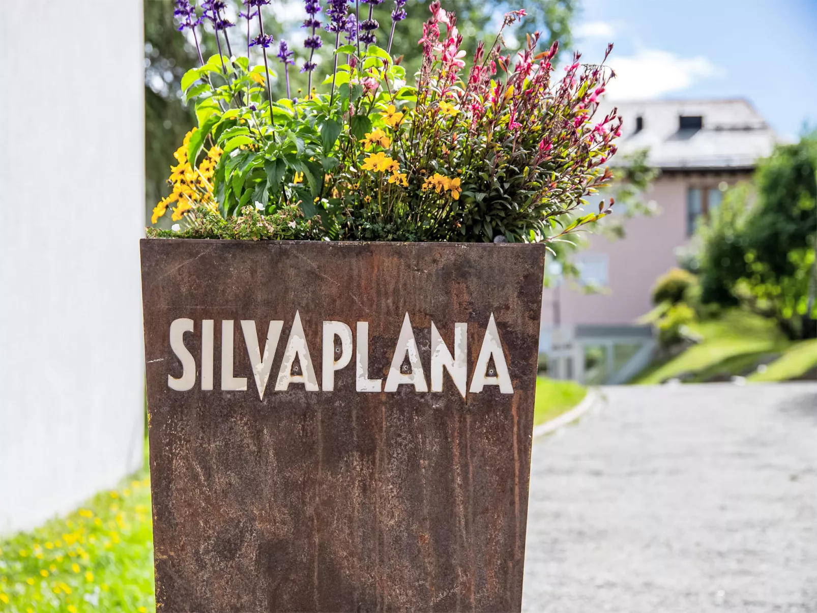 Chesa Dal Luf B1-Outside