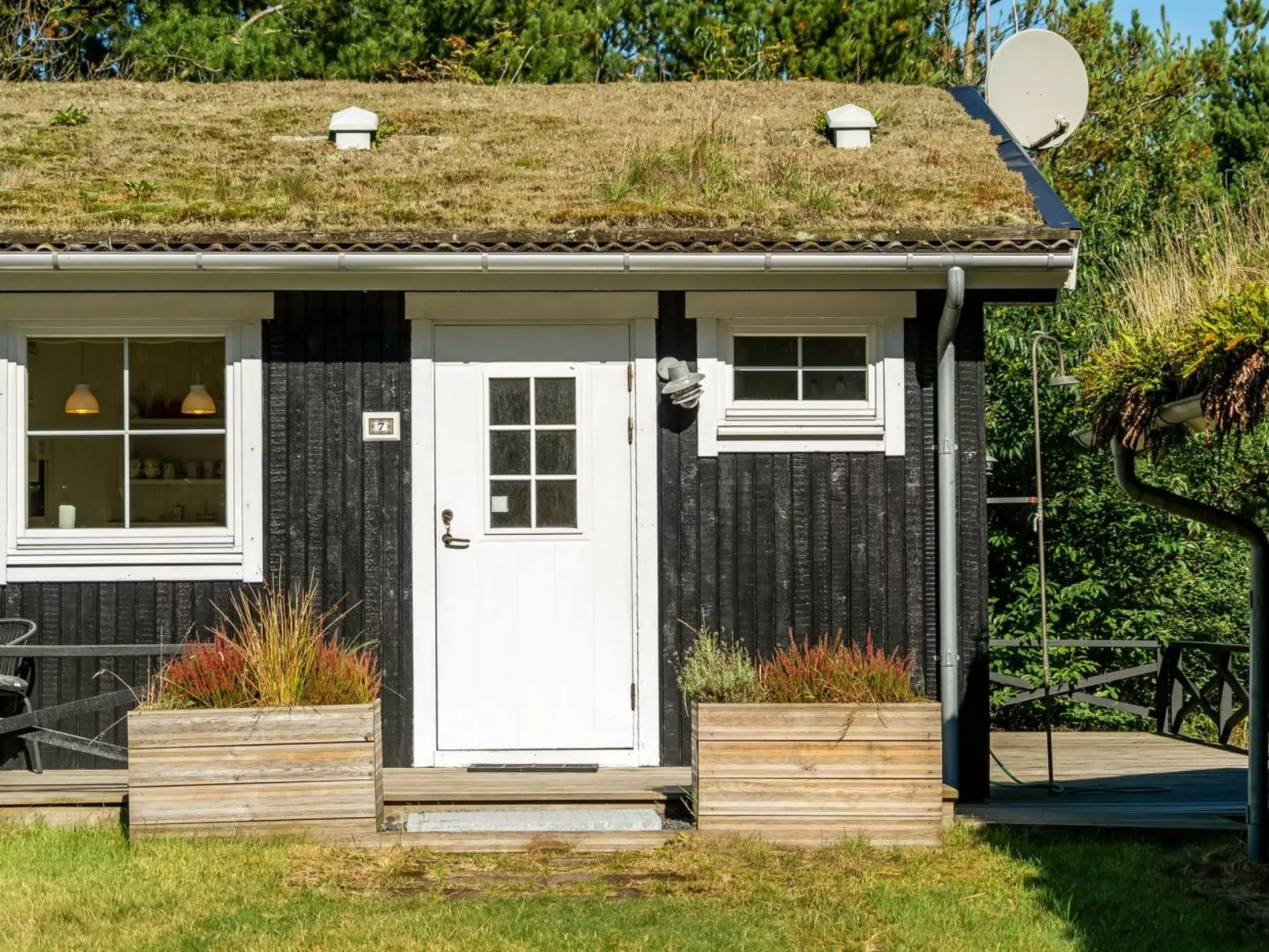 "Eimi" - 1.5km from the sea