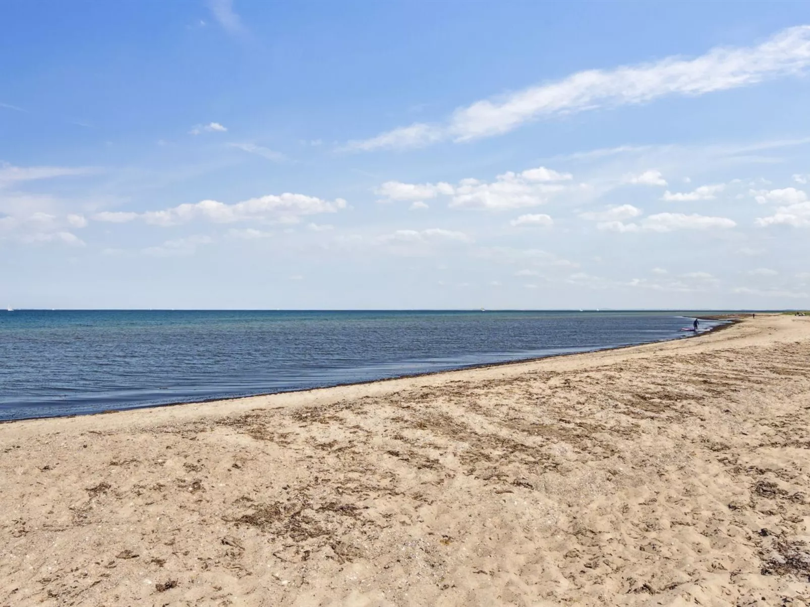 "Ika" - 450m from the sea