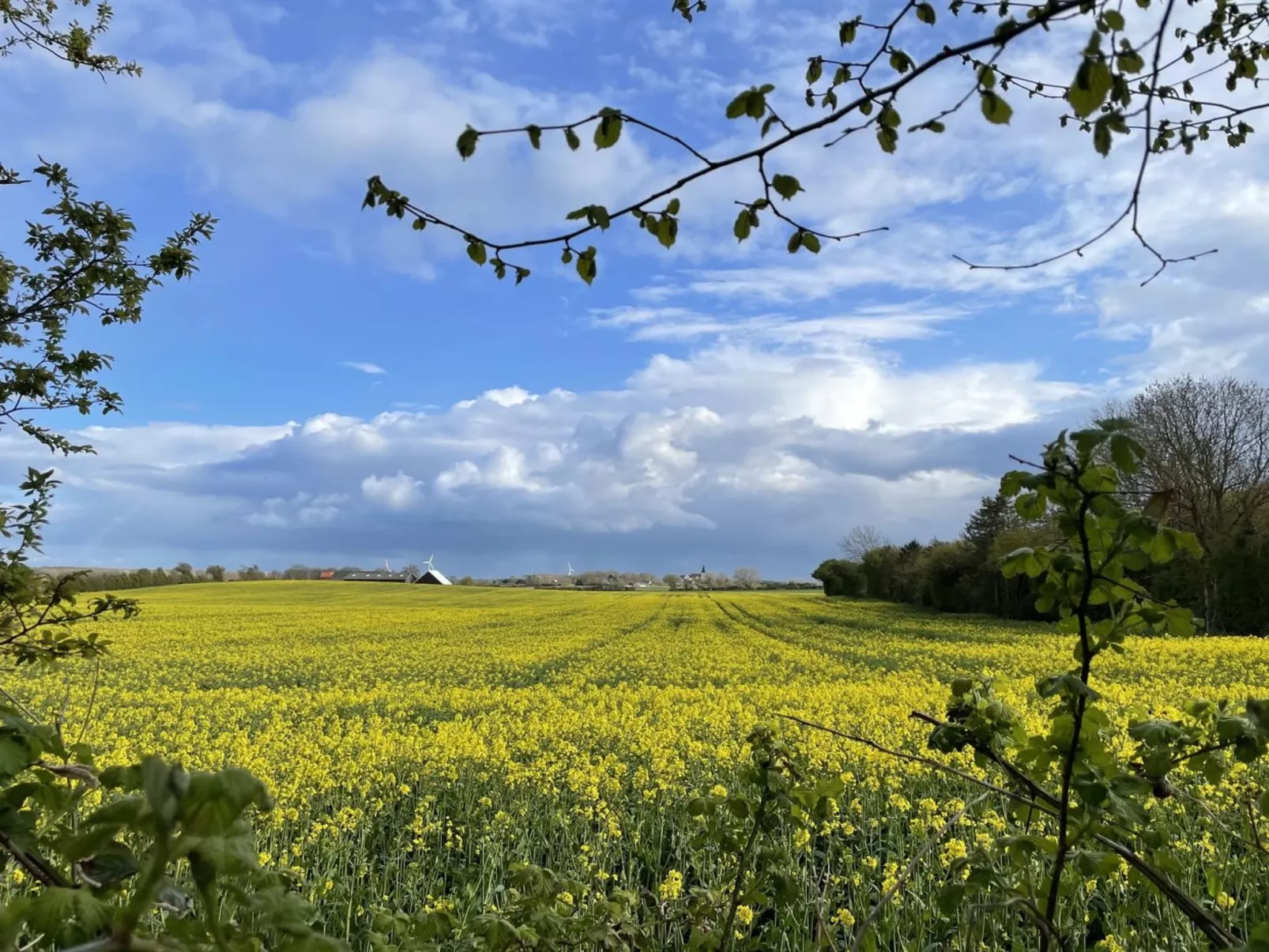 "Elvin" - 2.7km from the sea