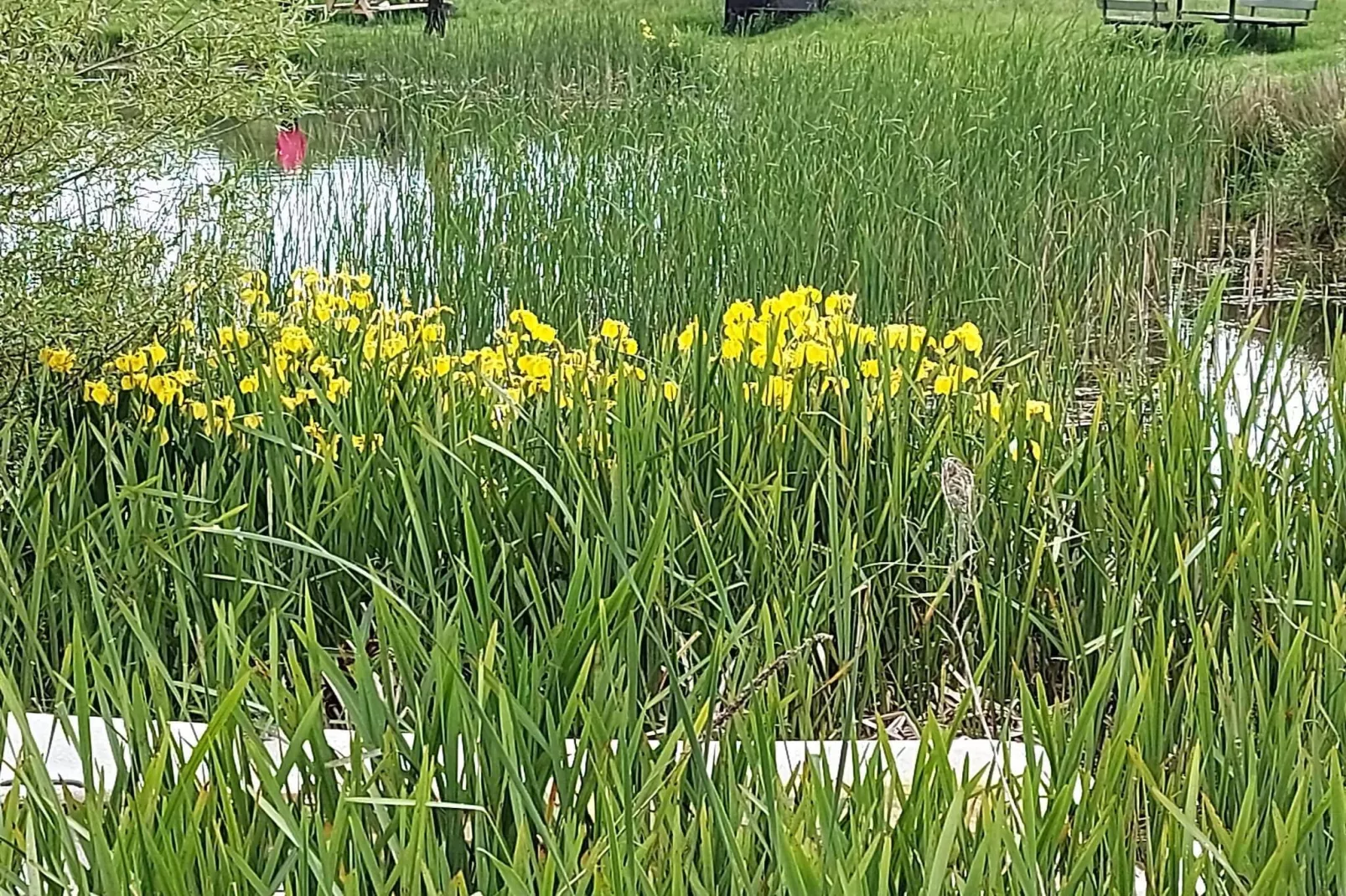 5 etoiles maison de vacances a Humble-By Traum-Vue sur l'eau