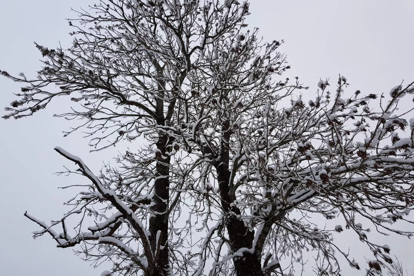 4 etoiles maison de vacances a SÖDERALA-By Traum-Non tagué