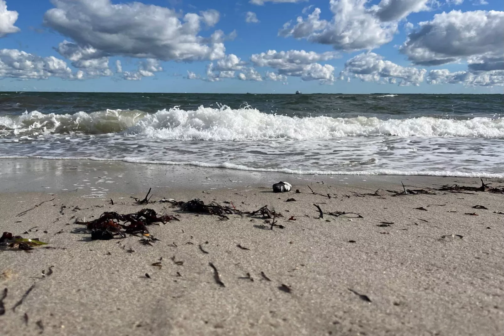 Luxuriose Oase bei Hasmark -- By Traum Ferienwohnungen-Wasserblick