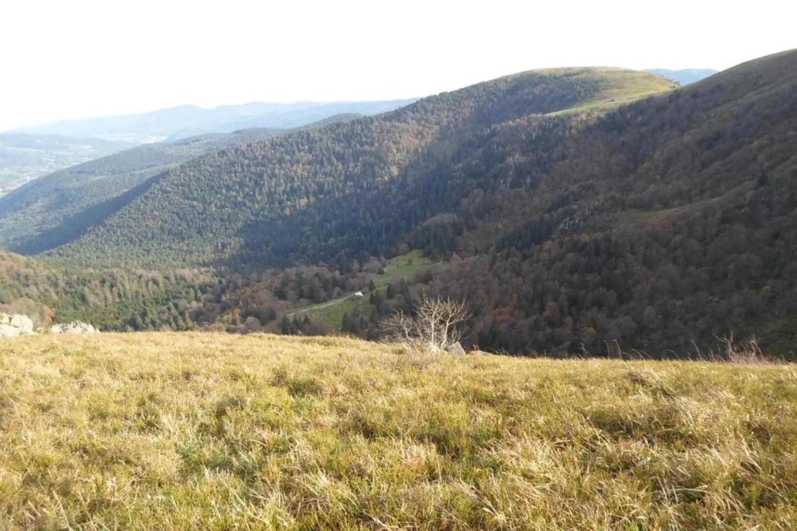 Domaine Des Messires 2-Areas within 1km in summer