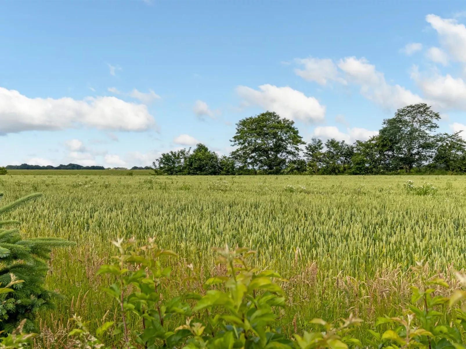 "Thrine" - 24km from the sea