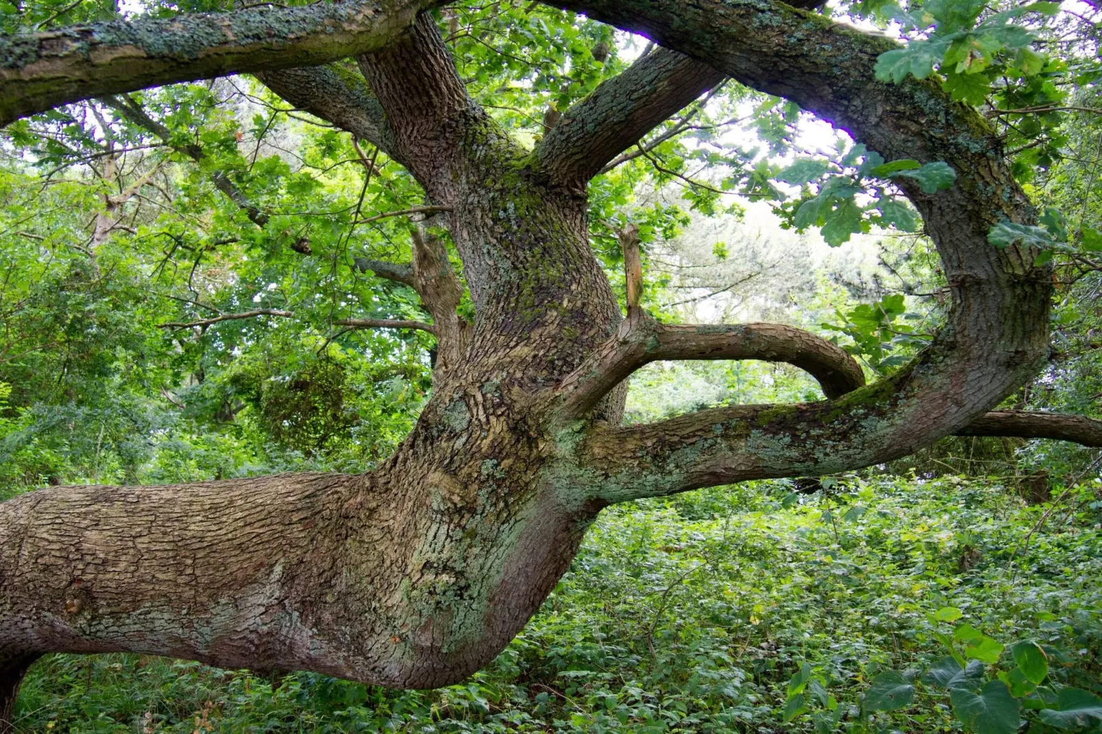 4 star holiday home in Præstø-By Traum-Untagged